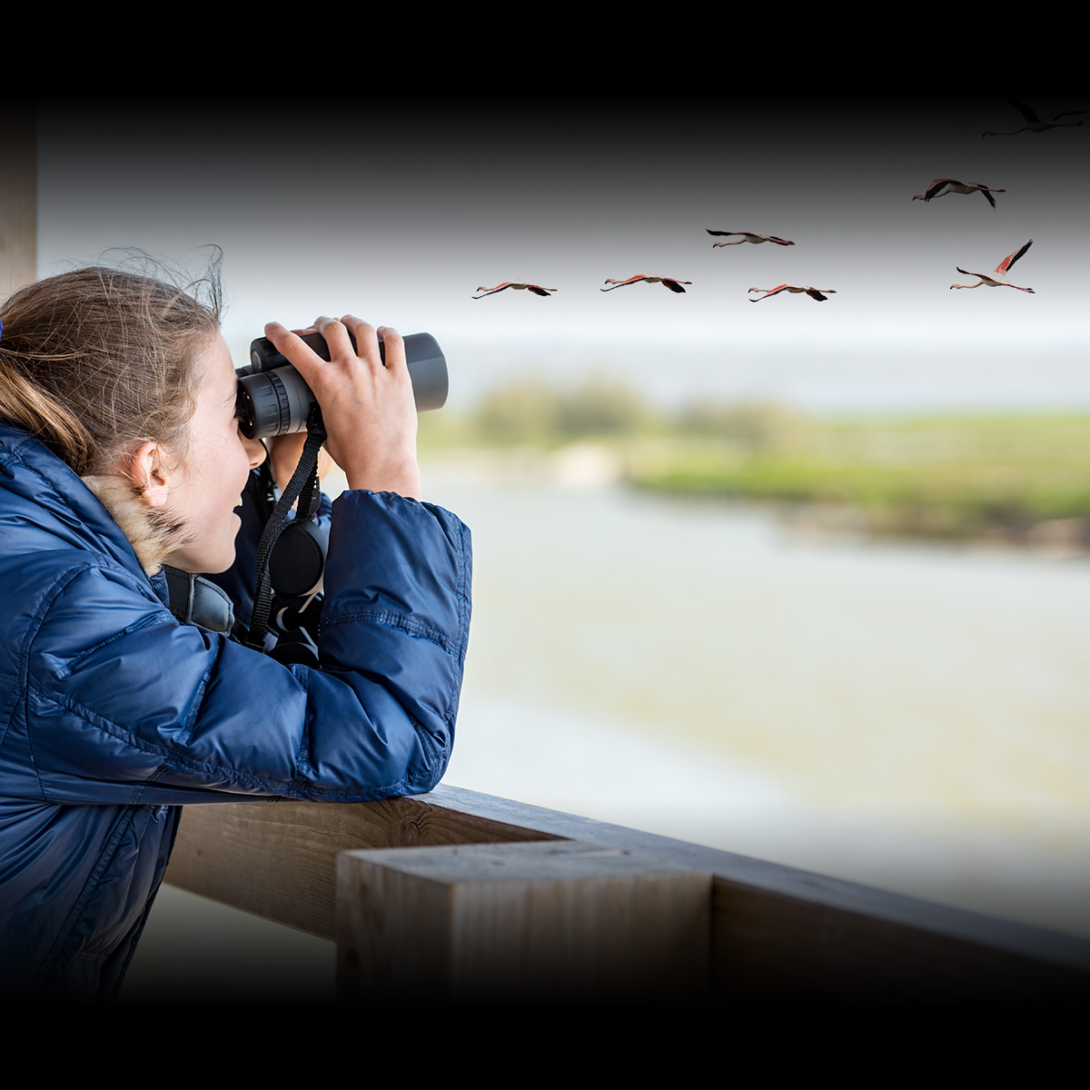 GREAT BACKYARD BIRD COUNT February 18, 2024 National Today