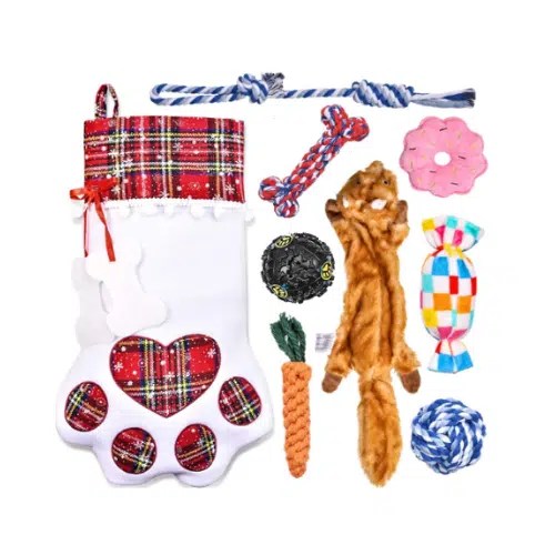 40 Best Dog Gifts National Today