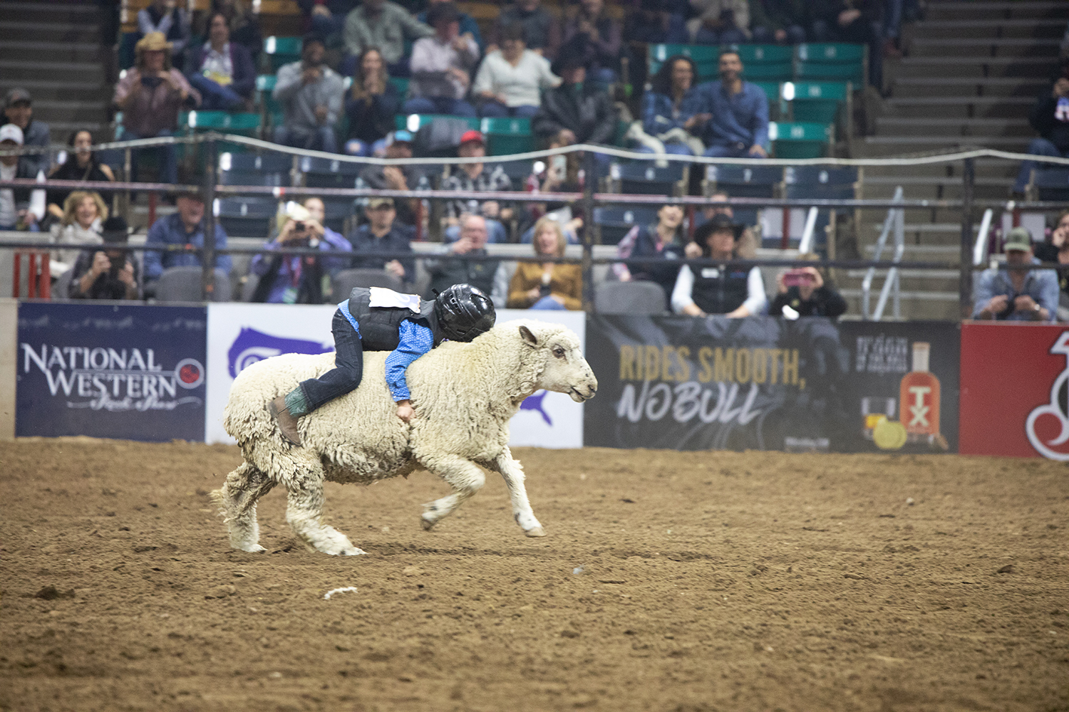 Denver Coliseum Events 2023 RODEOS National Western Stock Show