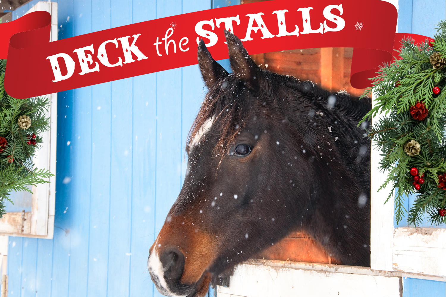 Tickets National Western Stock Show