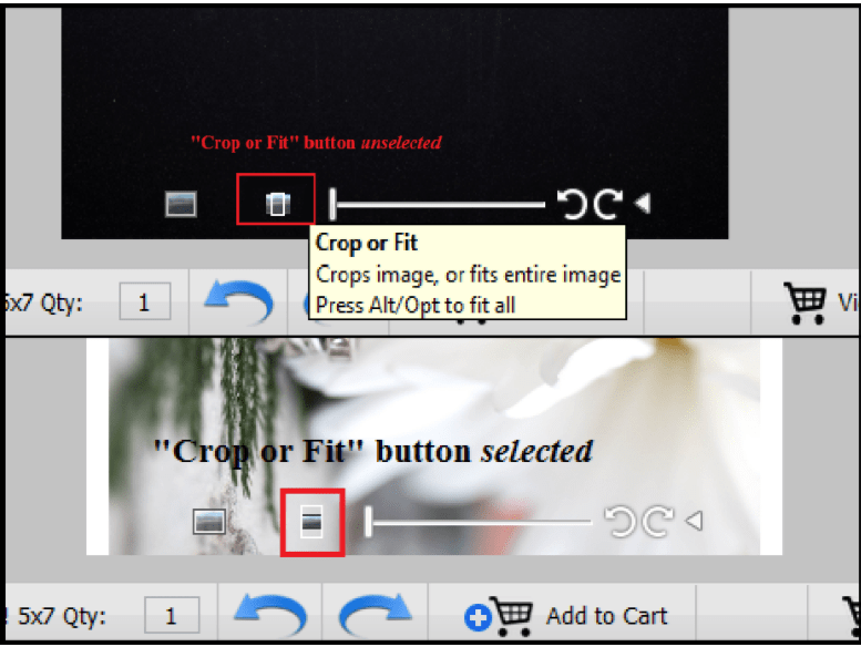How to use the ROES "Crop or Fit" button Nations Photo Lab