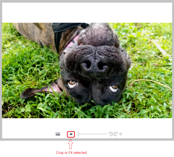 How to use the ROES "Crop or Fit" button Nations Photo Lab
