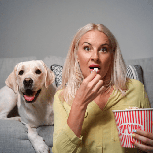 Can Dogs Eat Buttered Popcorn? NationwideDog