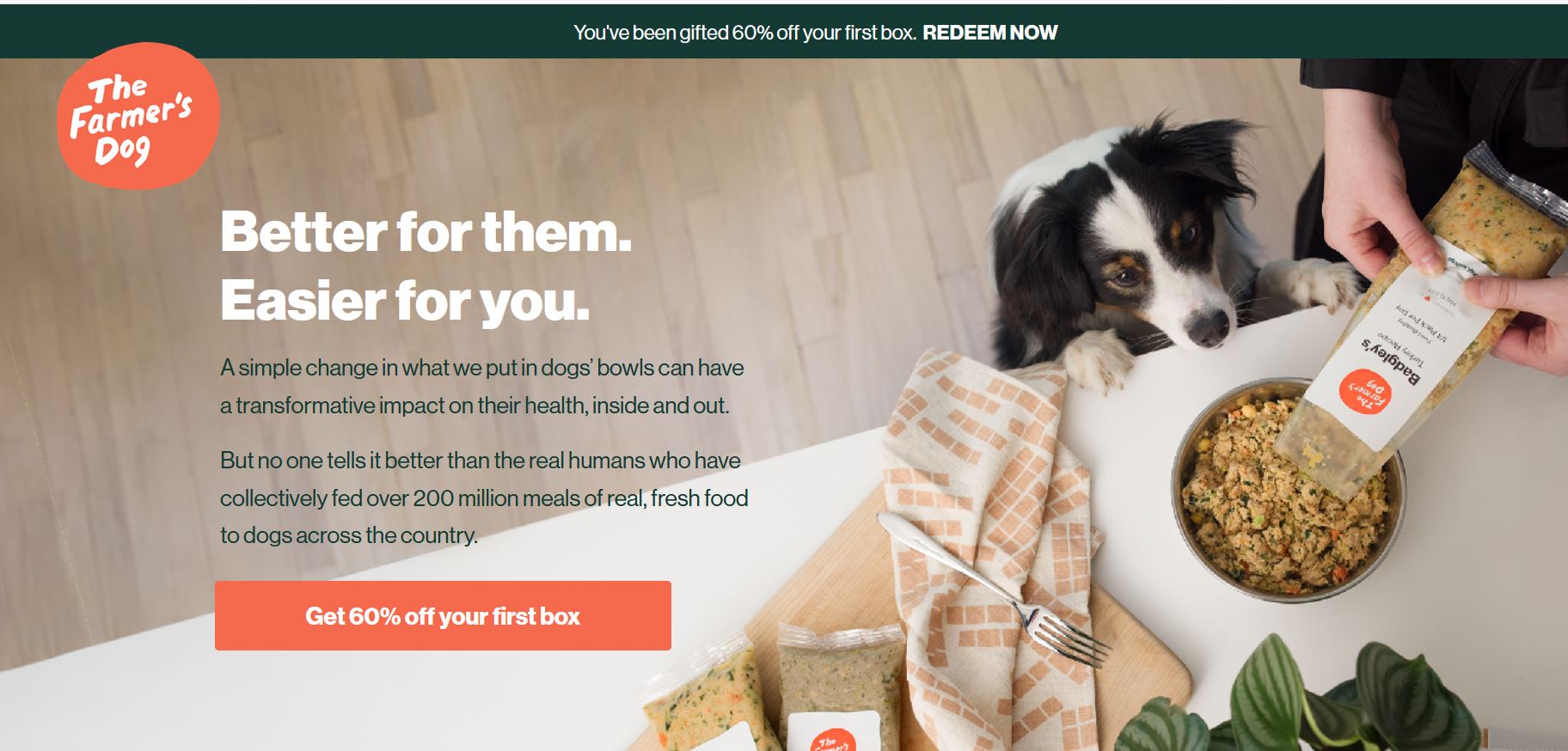 The Farmer's Dog Food Review and Analysis [2024]