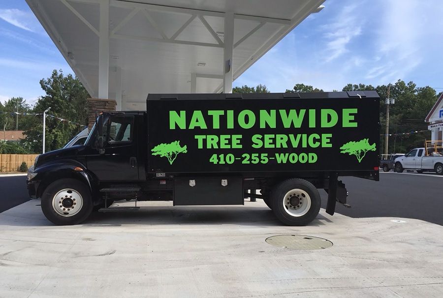 About Nationwide Tree Service Pasadena, MD