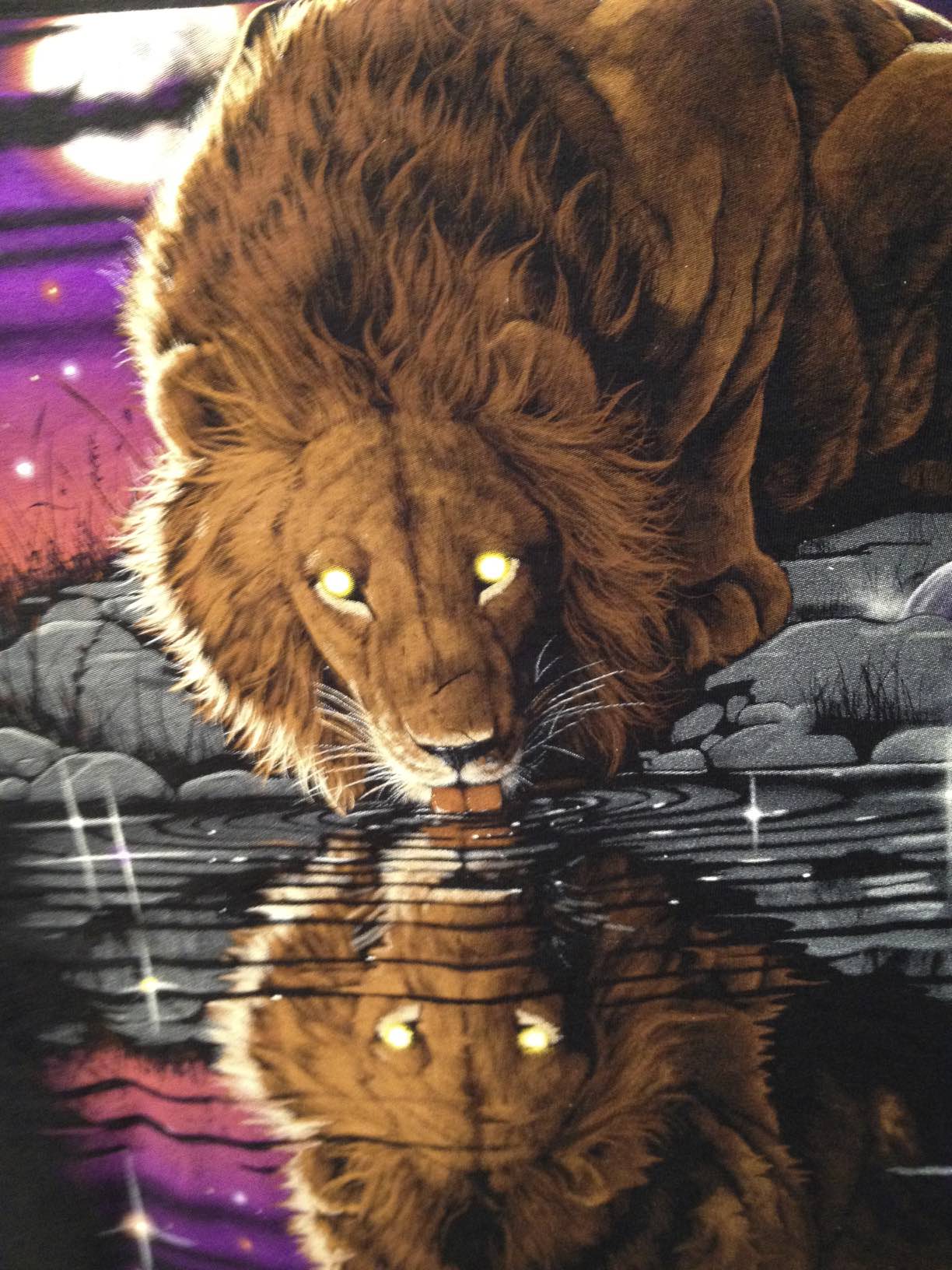 Night Lion Native American World