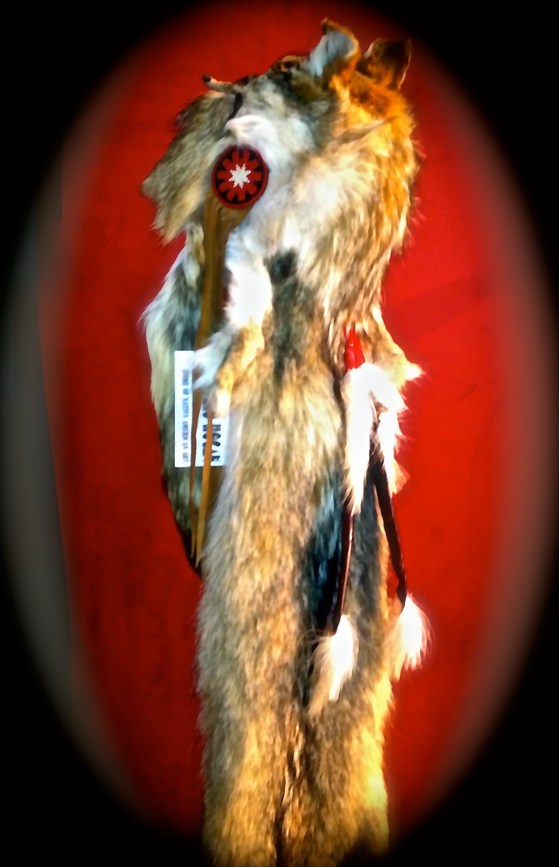 Coyote Medicine Man Headdress Native American World