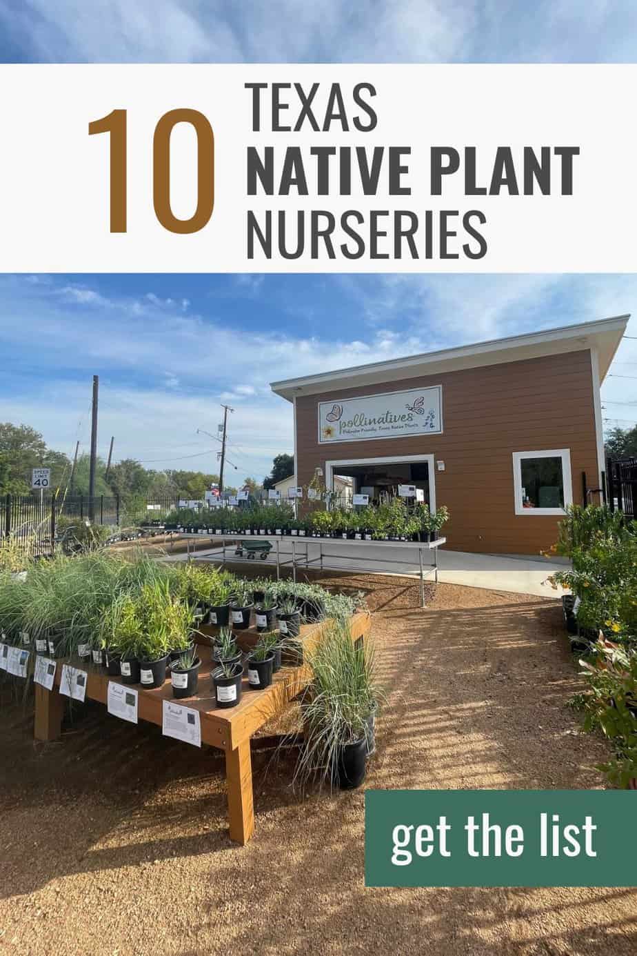 Top 10 Texas Native Plant Nurseries Native Backyards