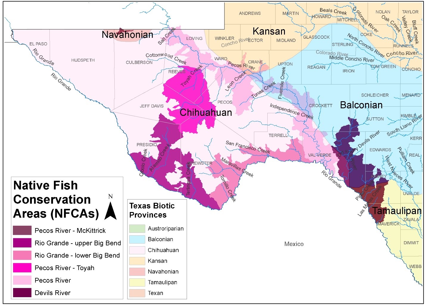 Chihuahua Desert, Native Fish Temple, Texas