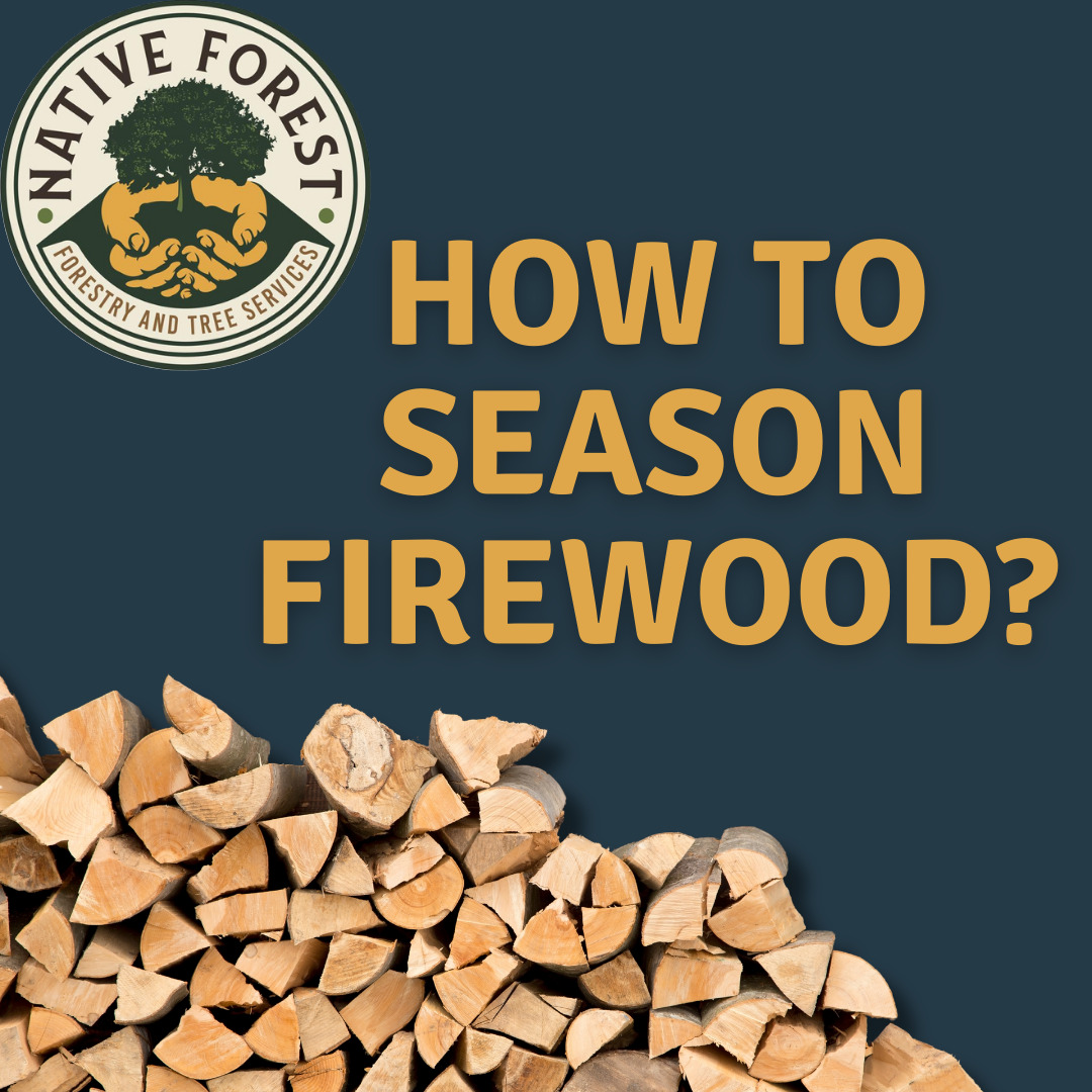 How to season firewood? Native Forest