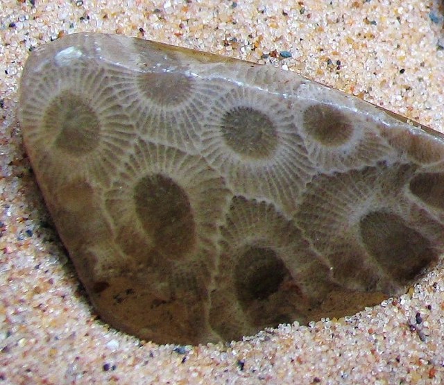 The Legend of the Petoskey Stone Native Heritage Project