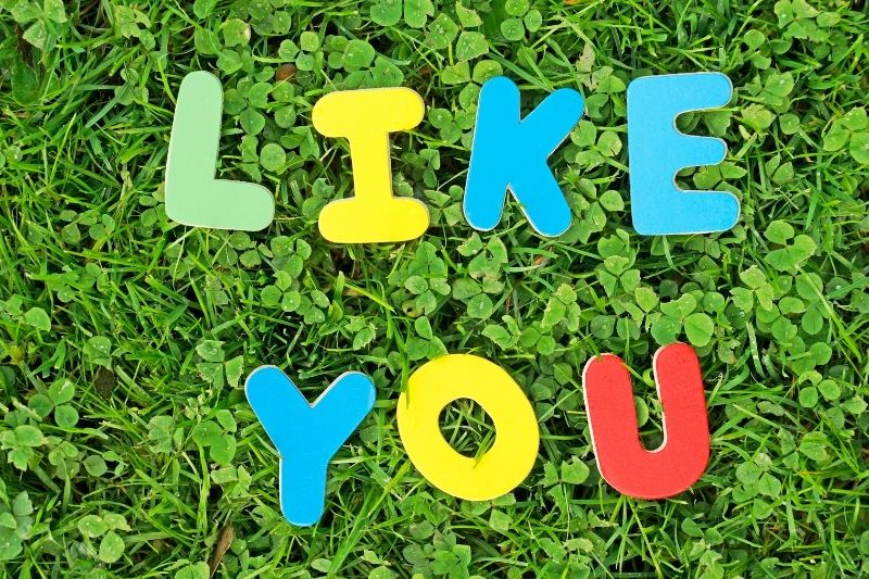 Like Meaning Native Intonation