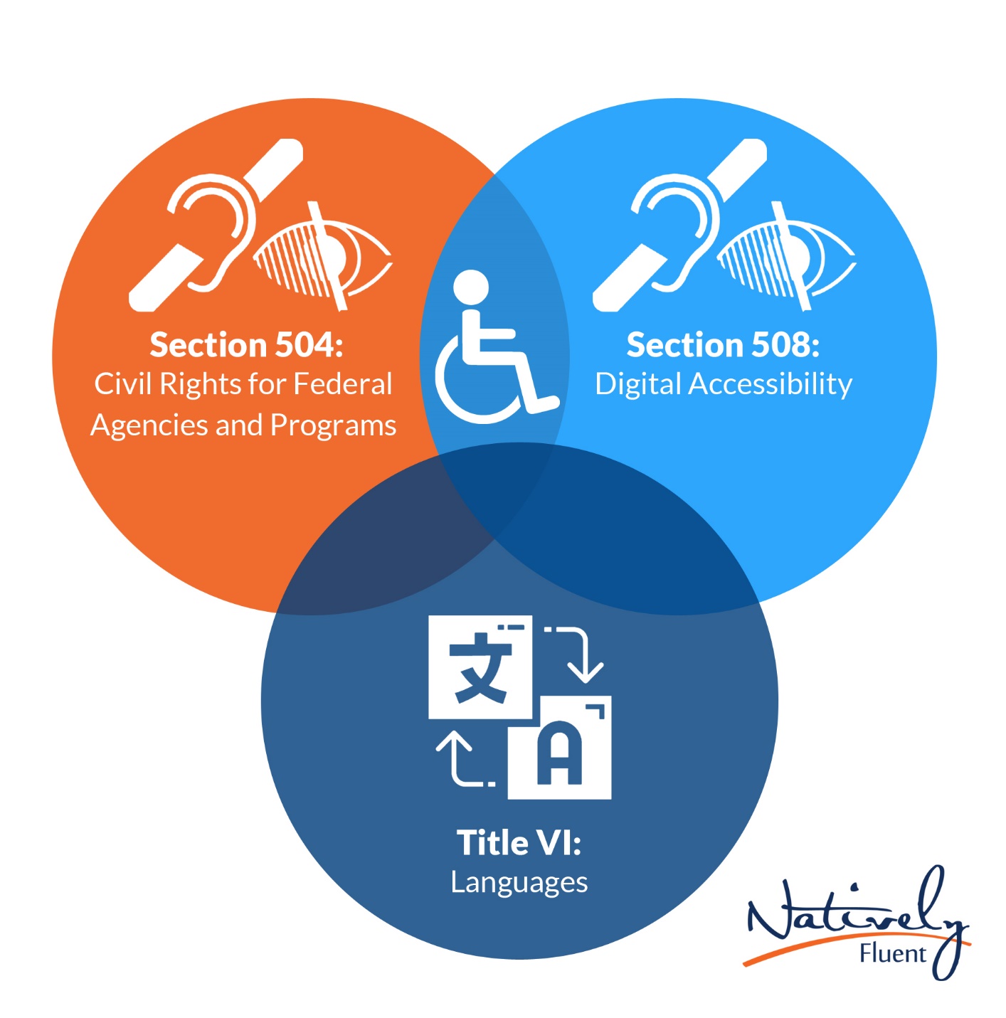 What Is The Difference Between Section 508 And 504?, 49% OFF