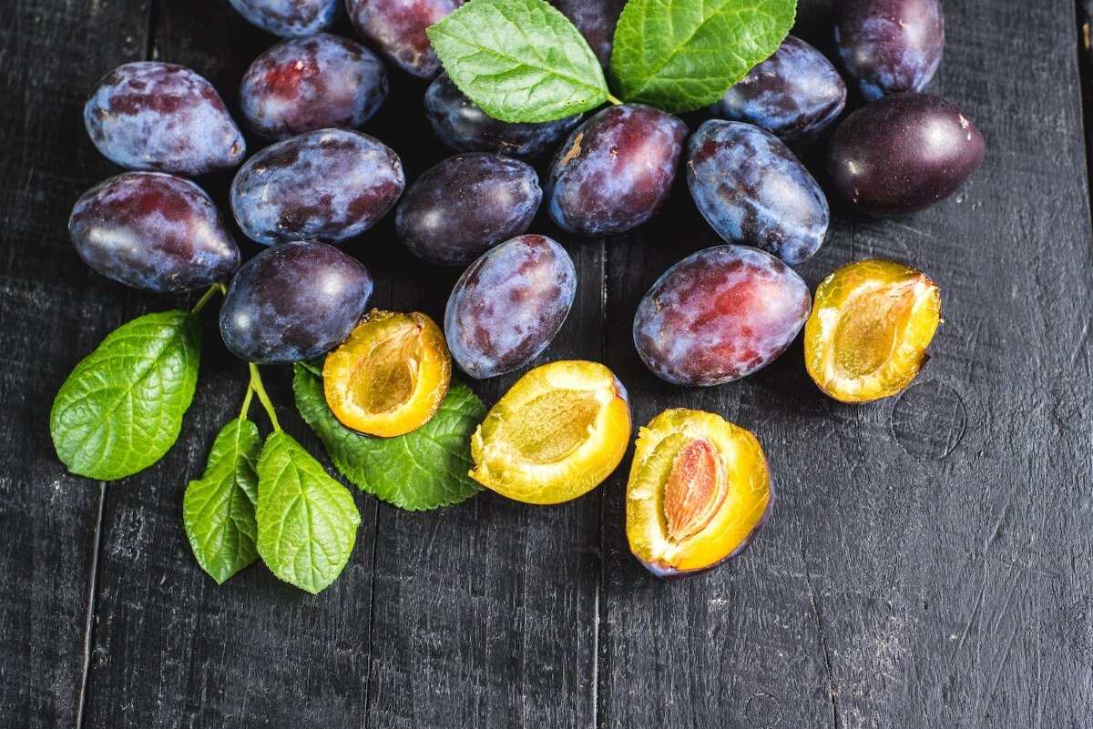 Are Plums Safe For Dogs To Eat? Unveiling The Truth