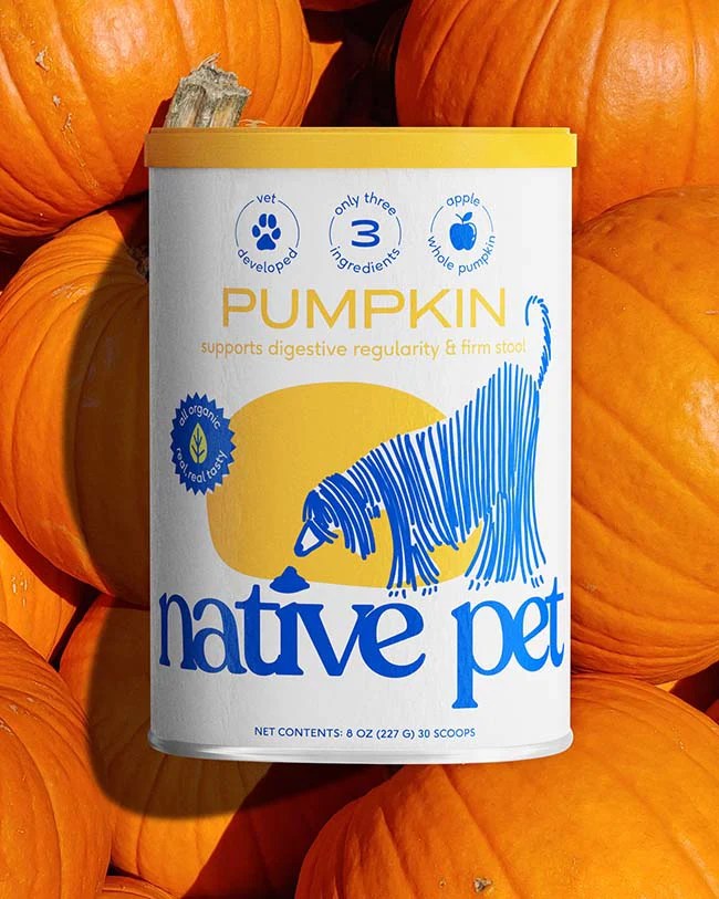 Pumpkin Stop Dogs From Eating Poop