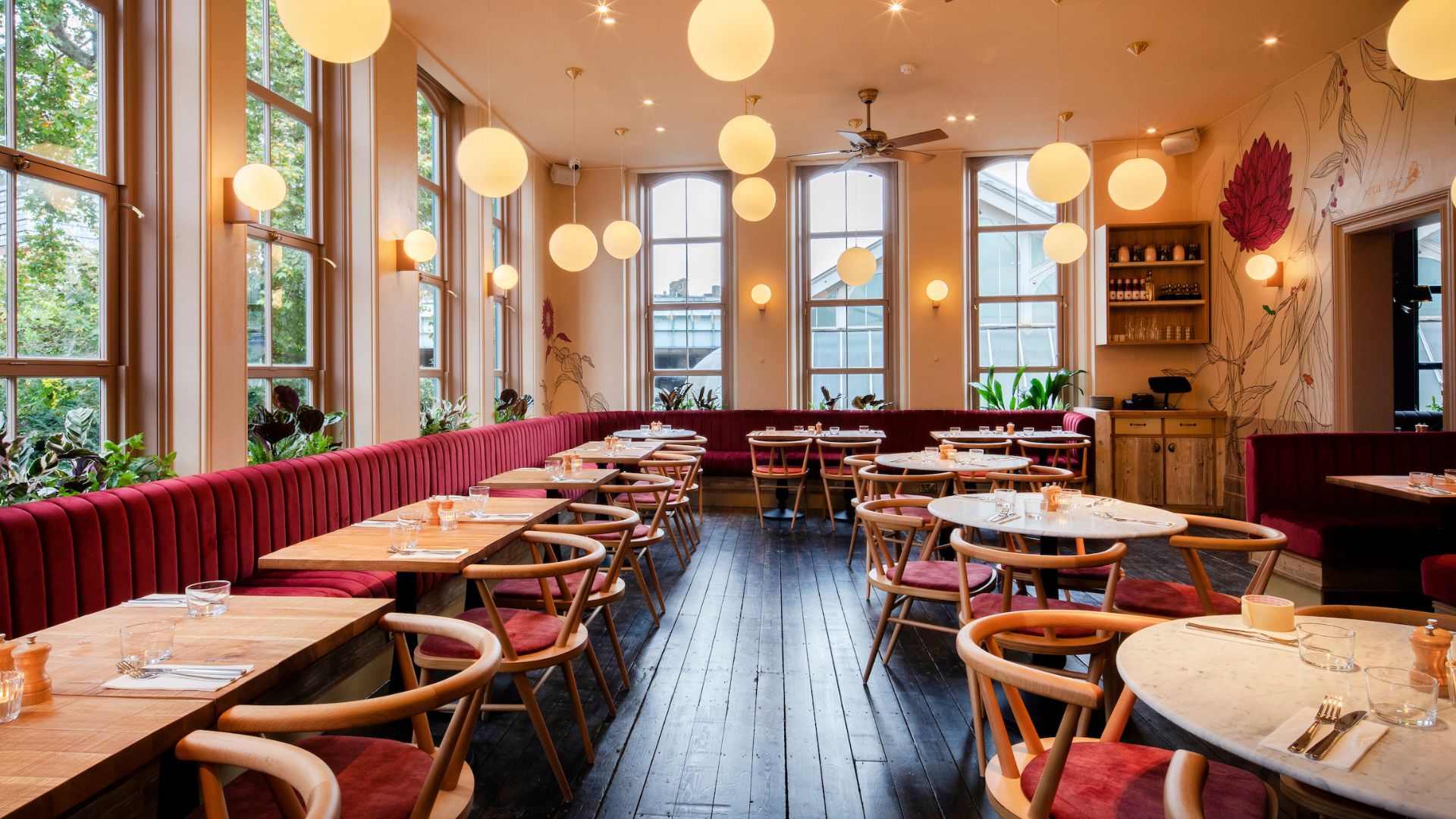 Mallow Native Places