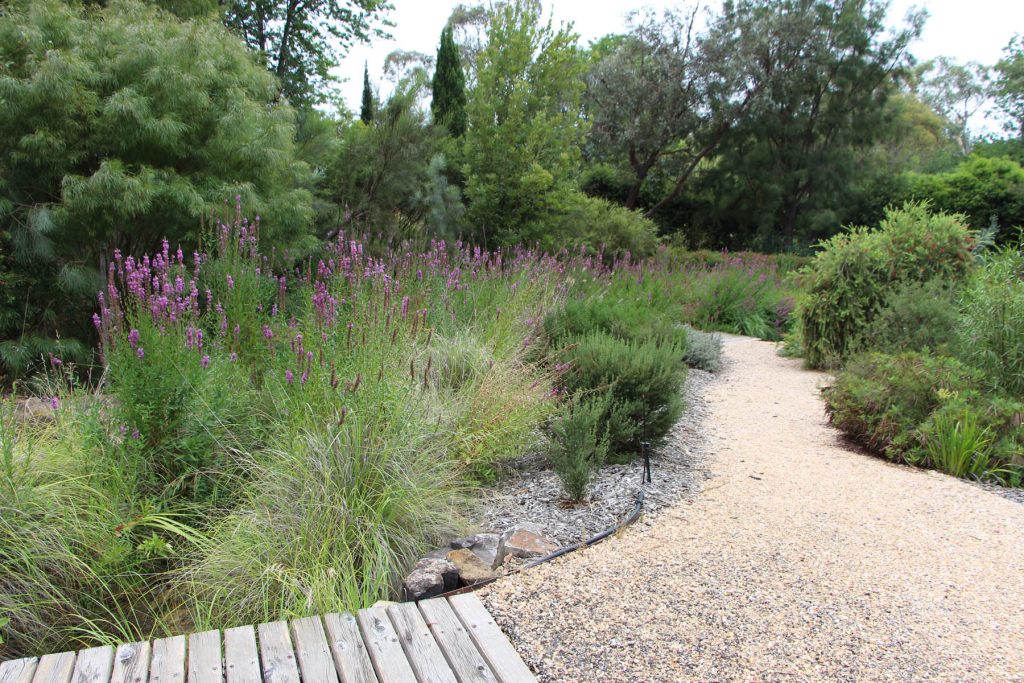 Garden Design Make a Site Plan ANPSC