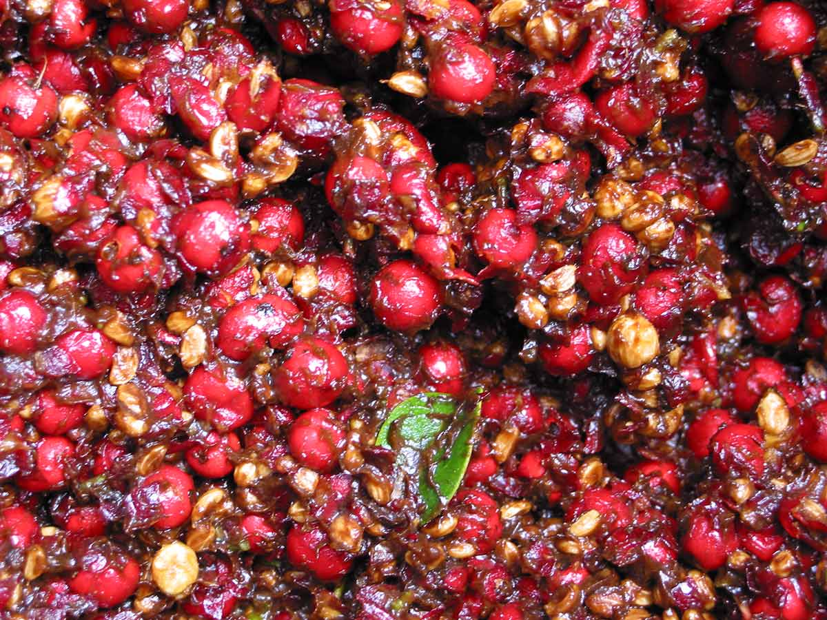 How to Grow Holly Trees From Seed A Recipe to Success