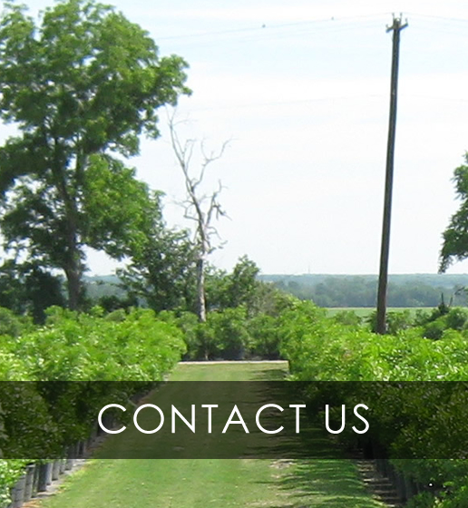About Us Wholesale Plant and Tree Nursery for Retail and Landscaper