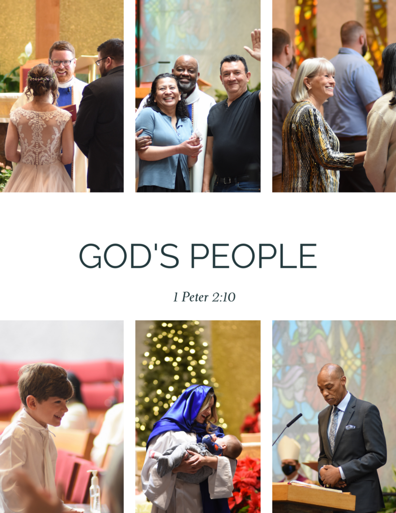 The Nativity History Book Nativity Catholic Church