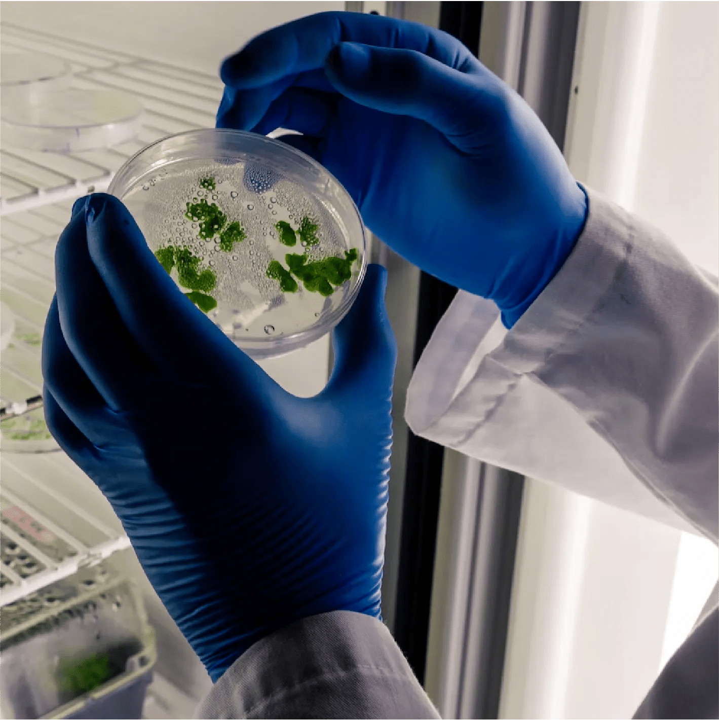 Microbial Testing Natsep