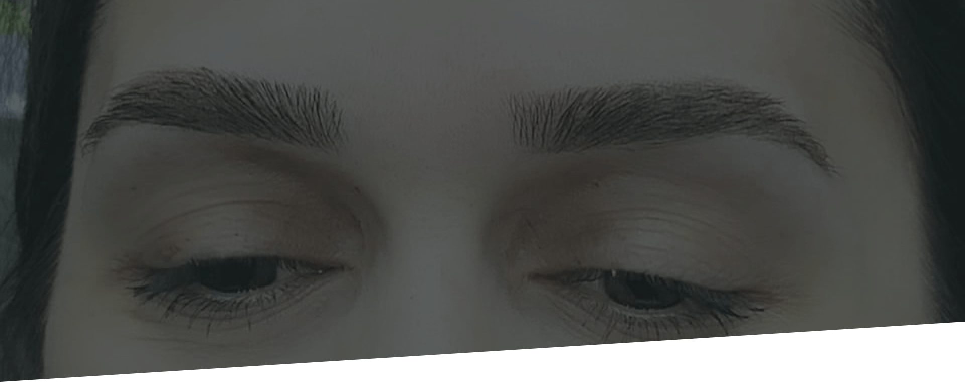 Combo brows NatTech Cosmetics