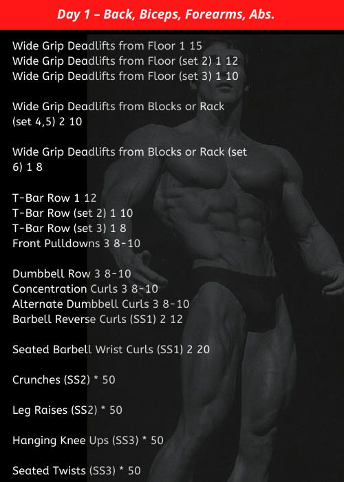 Get inspired by Frank Zane Profile and workout analysis