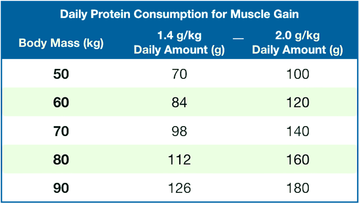 Protein Powder Vs Real Protein food what is best to build muscle
