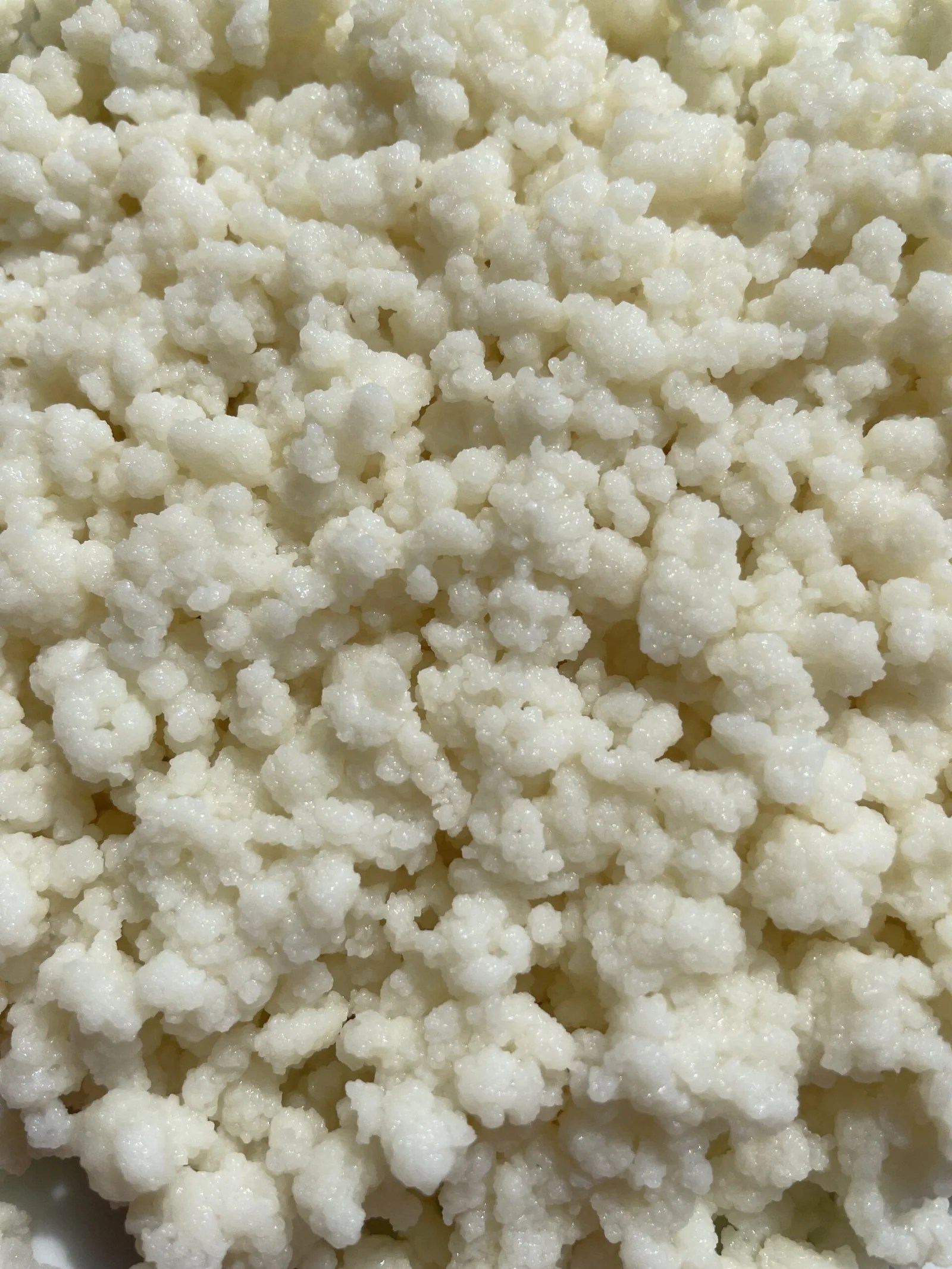 Lot Grains de Kéfir de fruits 30g + grains de Kéfir de lait 20g La