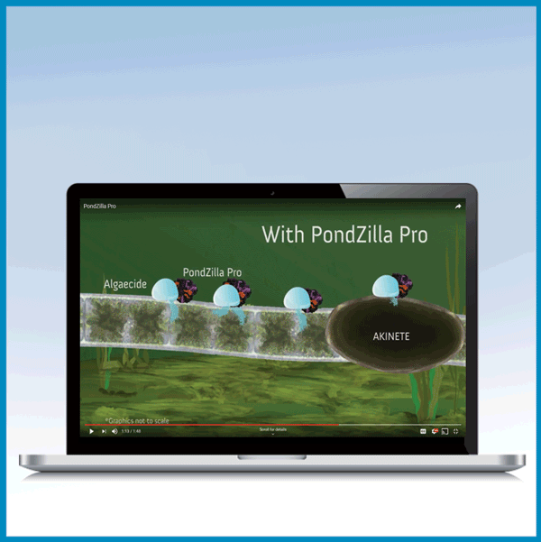 Aquatic Professionals Natural Lake Biosciences