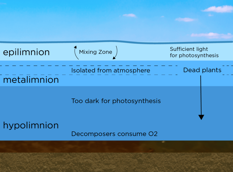 Pond Turnover & Oxygen Natural Lake Biosciences