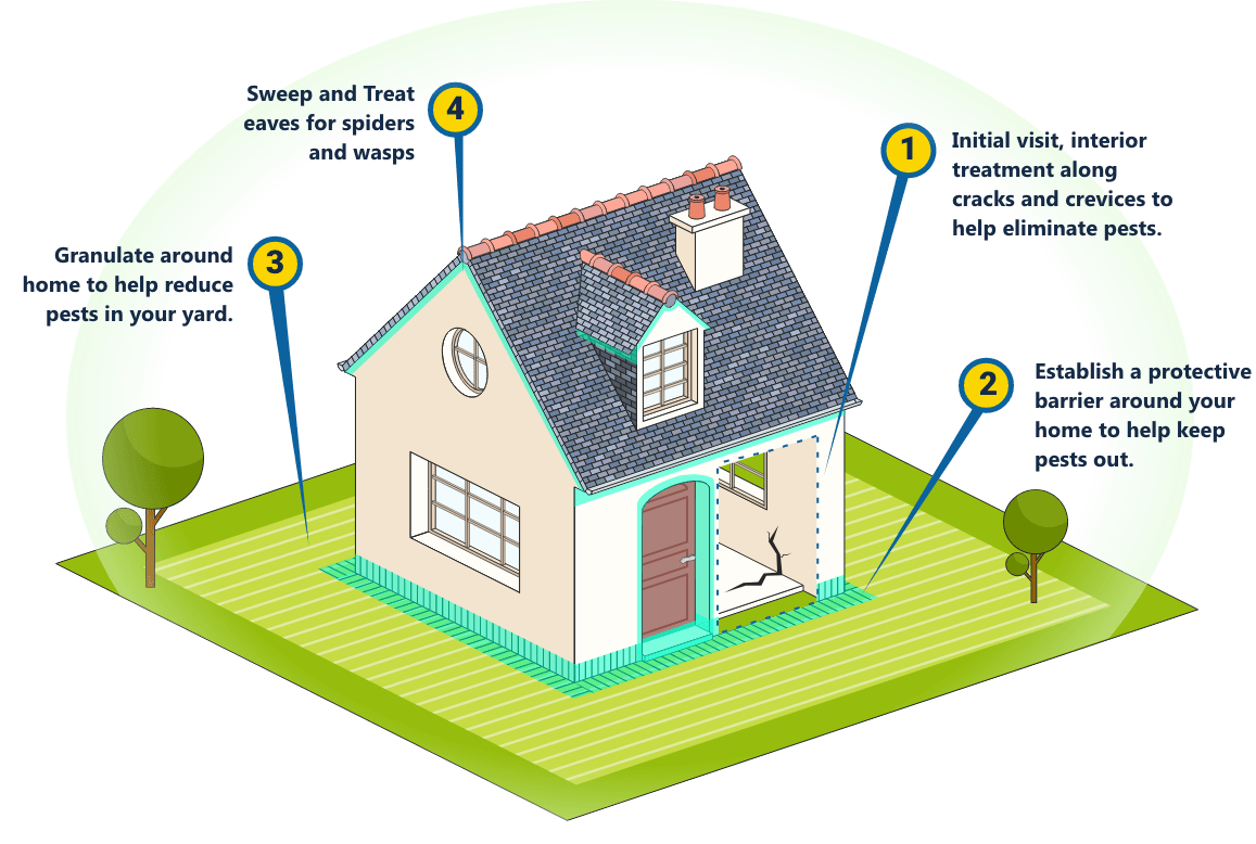 EcoFriendly Pest Control Katy, Texas Services