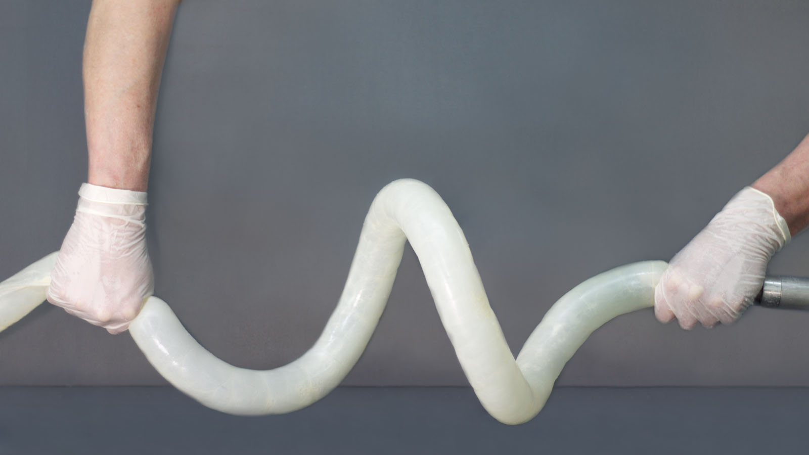 Beef Bung Casing at Duane McRae blog