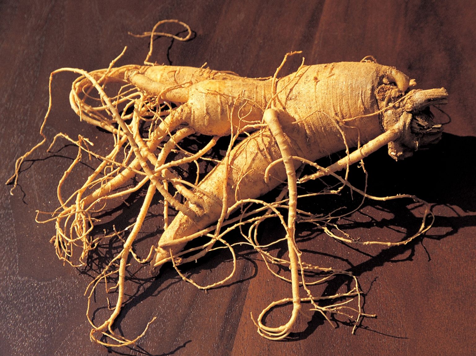 Ginseng The Truth Behind the Miracle Medicinal Herb