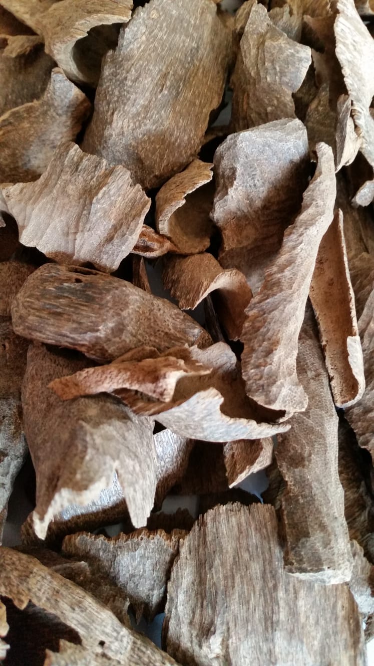 Burmese Angles Manipuri Agallocha Agarwood Chips Incense Natural