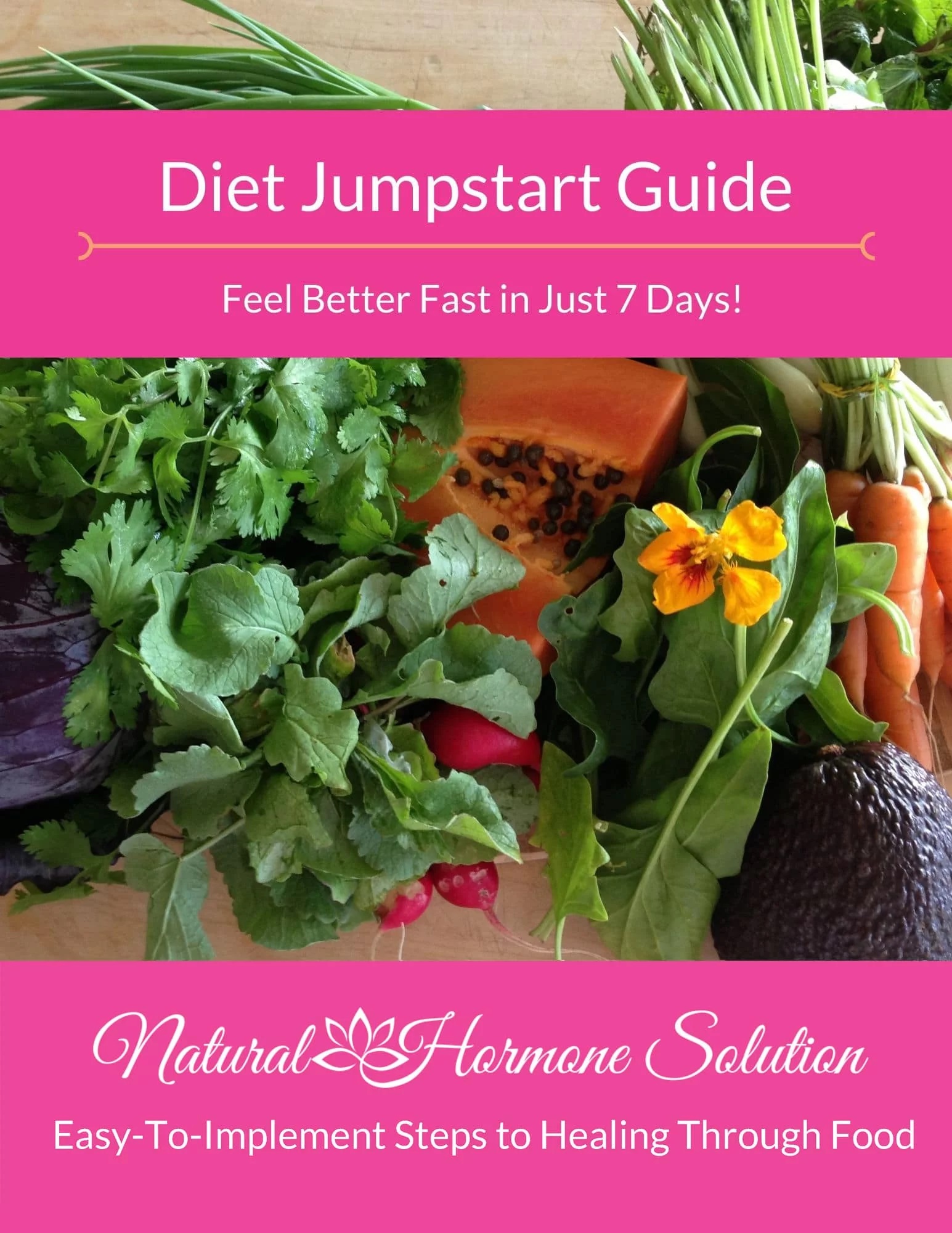 Guide Diet Jumpstart Thank You Natural Hormone Solution