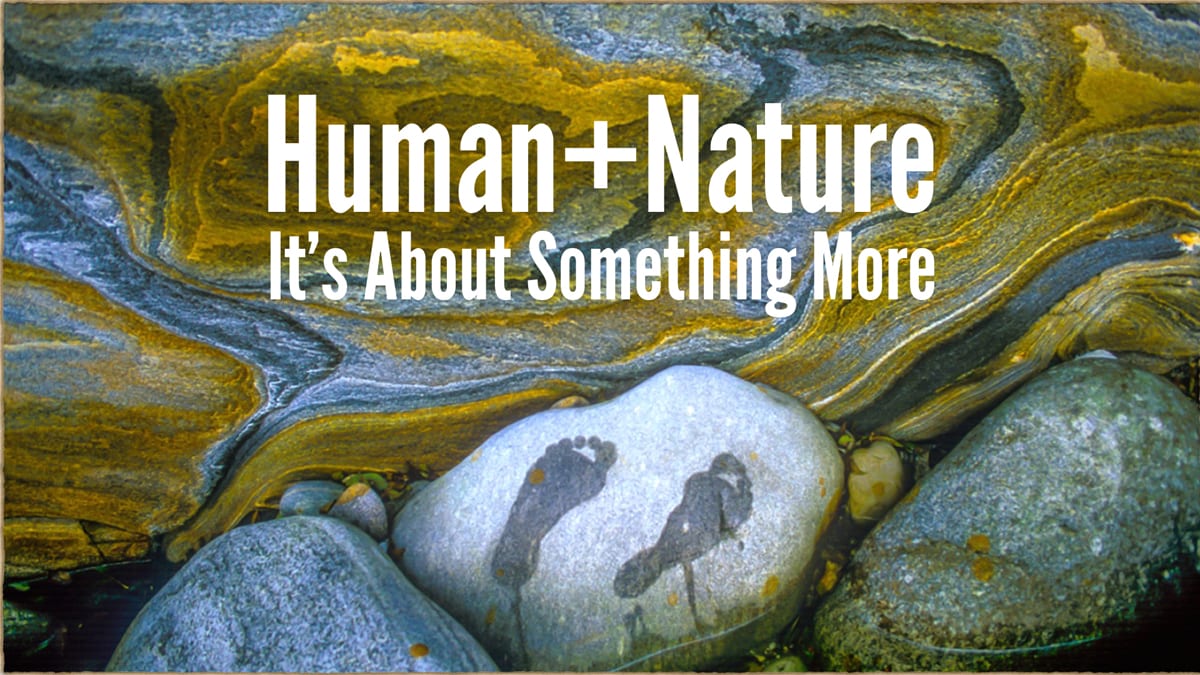 Human Nature Natural Intelligence