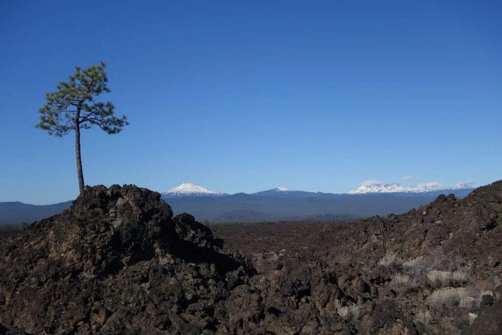 Bend, Oregon Carpet Cleaning Quick 12 Hour Dry Times Even In Winter 2024