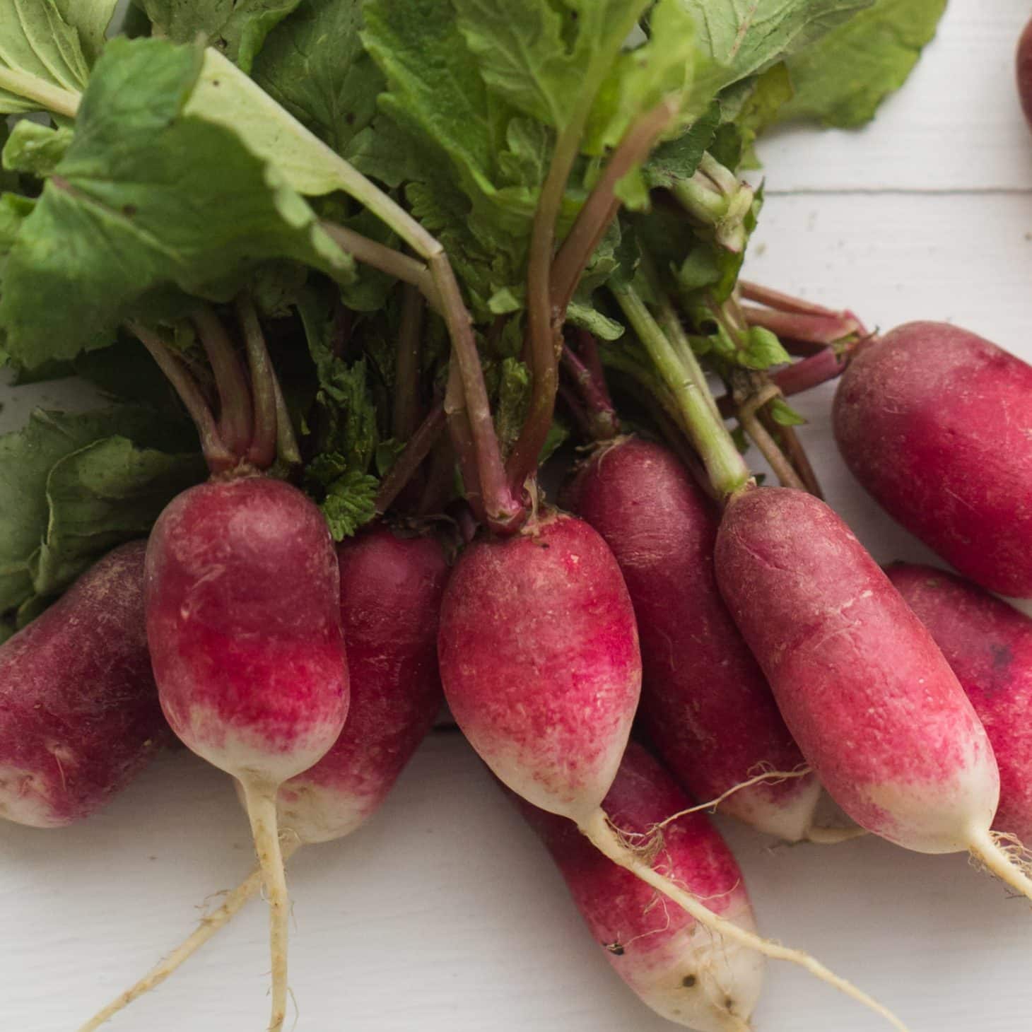 Buttered Radishes with a Poached Egg on Toast Spring Recipe