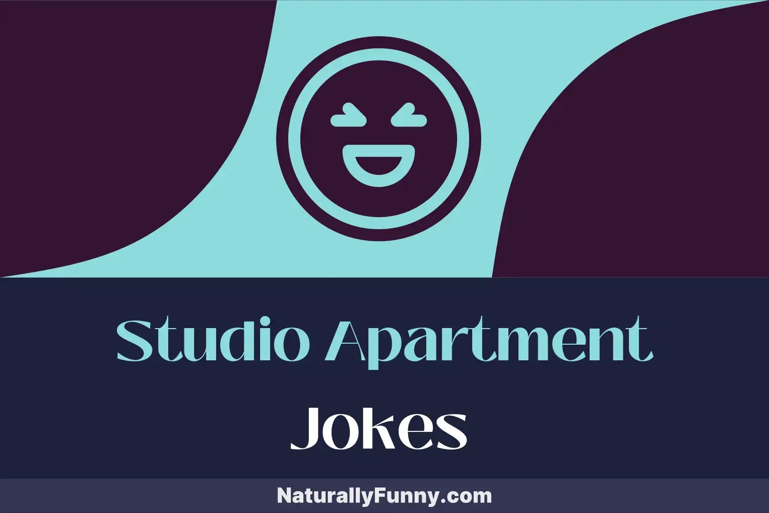 955 Studio Apartment Jokes for Uproarious Urban Living Naturally Funny