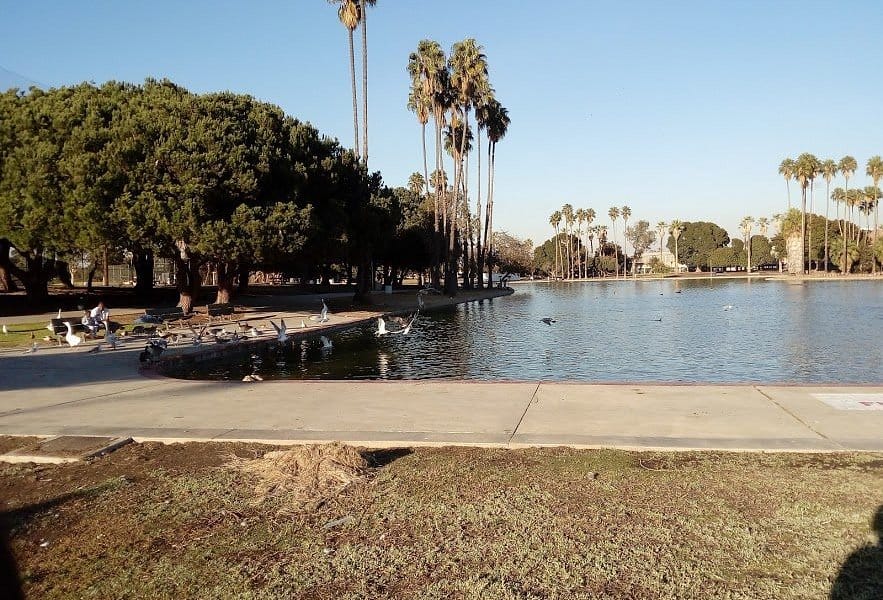 lawndale Naturally Green Cleaning