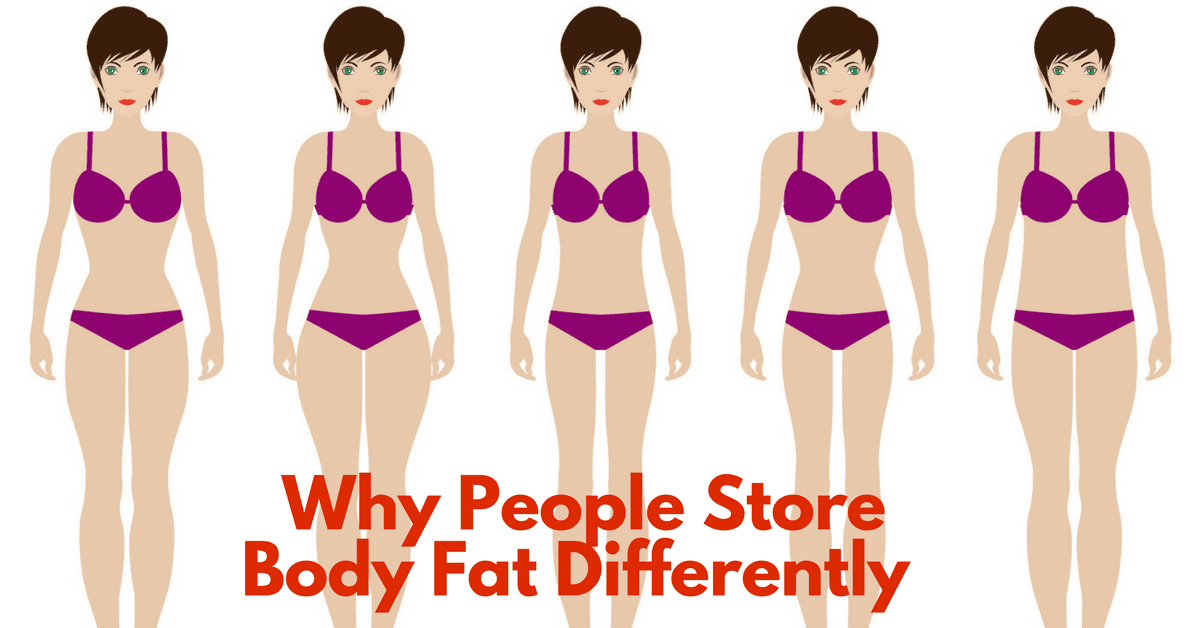 Stomach facts, function, parts and diseases, a comprehensive study. Why People Store Fat In Different Parts Of The Body