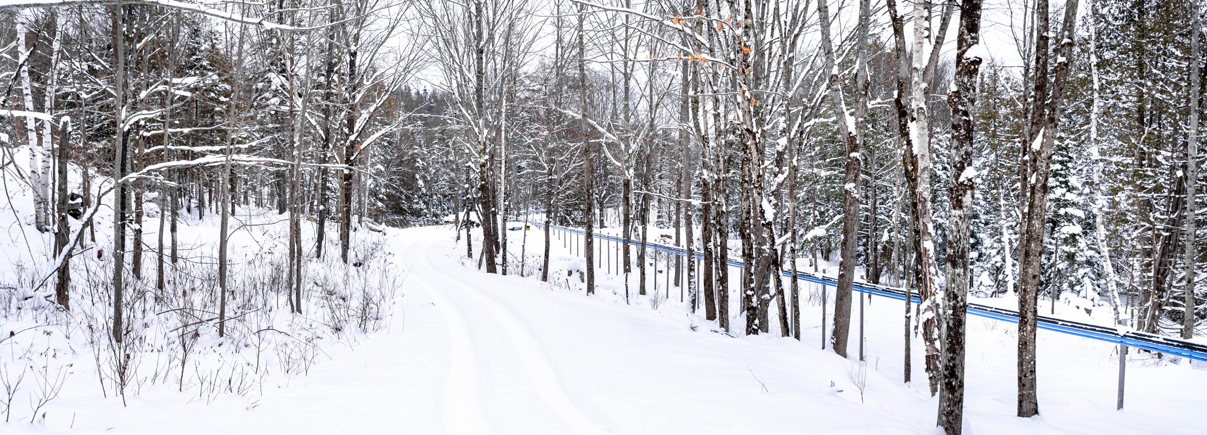 Photos Naturally VT Labrecque's Maple Syrup