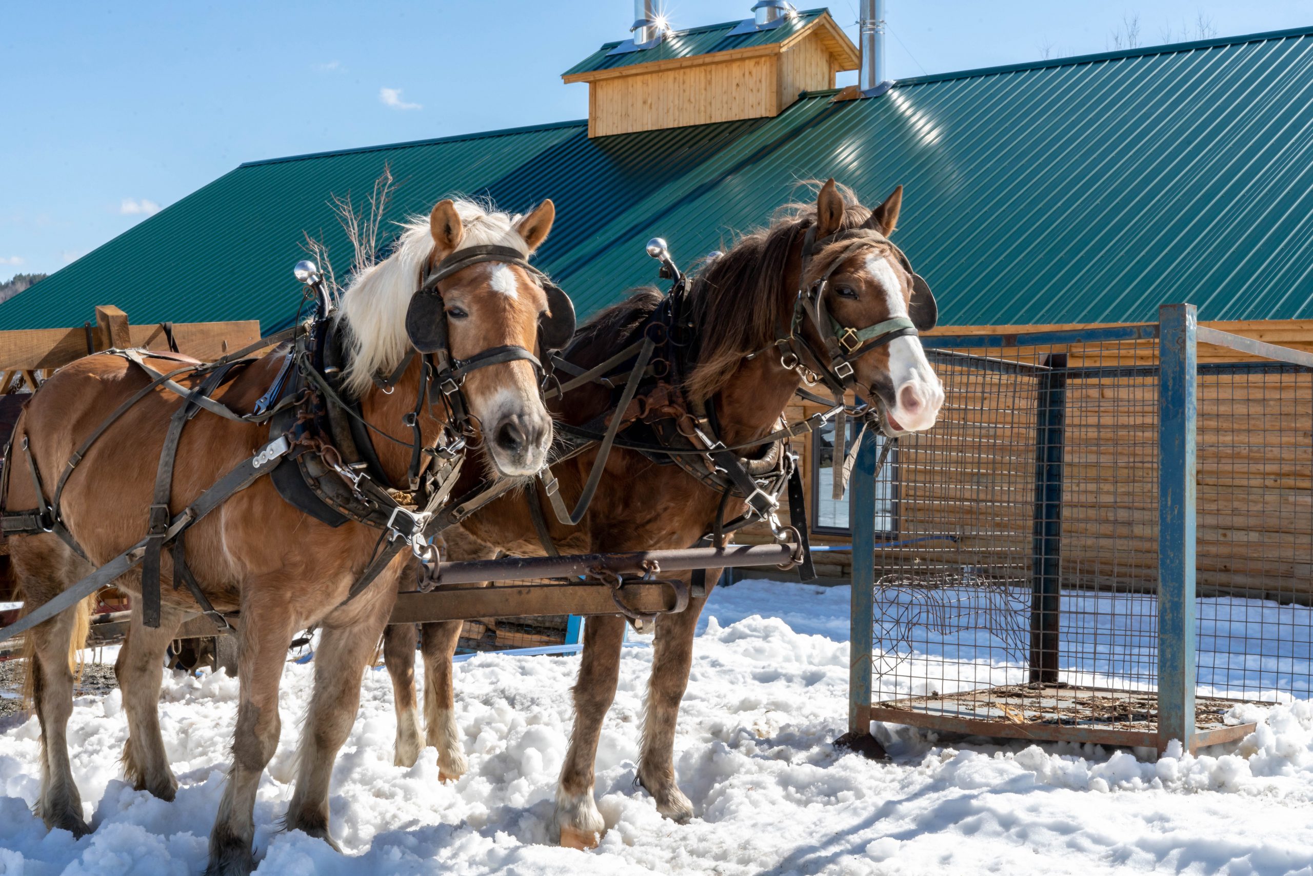 Photos Naturally VT Labrecque's Maple Syrup