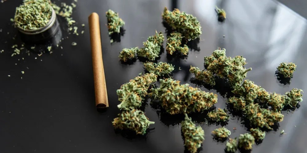 Are Hemp Wraps Healthier Than Papers?