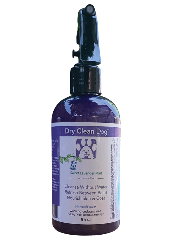 Can Dry Cleaners Remove Dog Hair