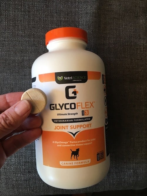 Natural Pain Relief for Old Dogs with Arthritis by Vets