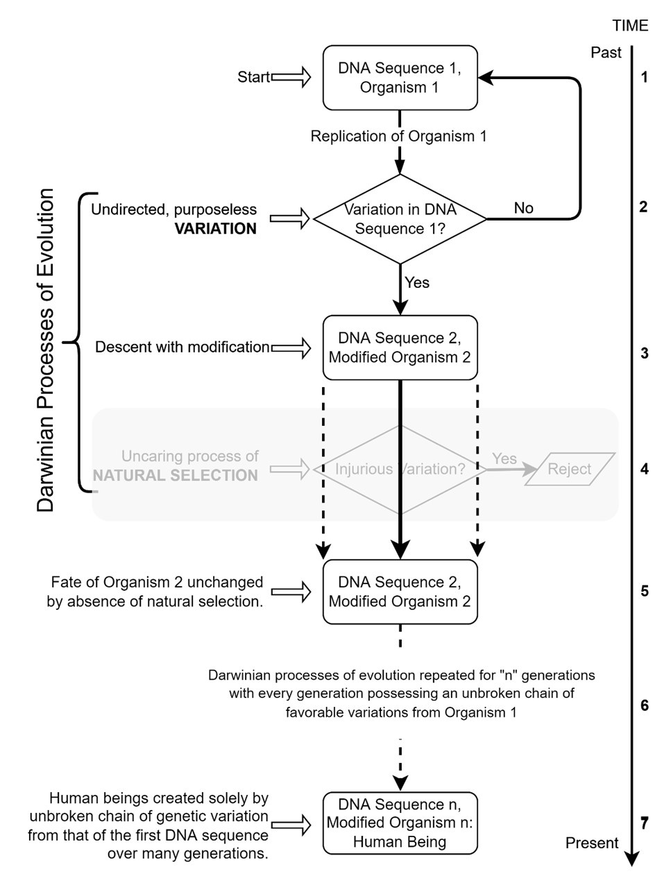 The Natural Selection Paradox – The Natural Selection Paradox