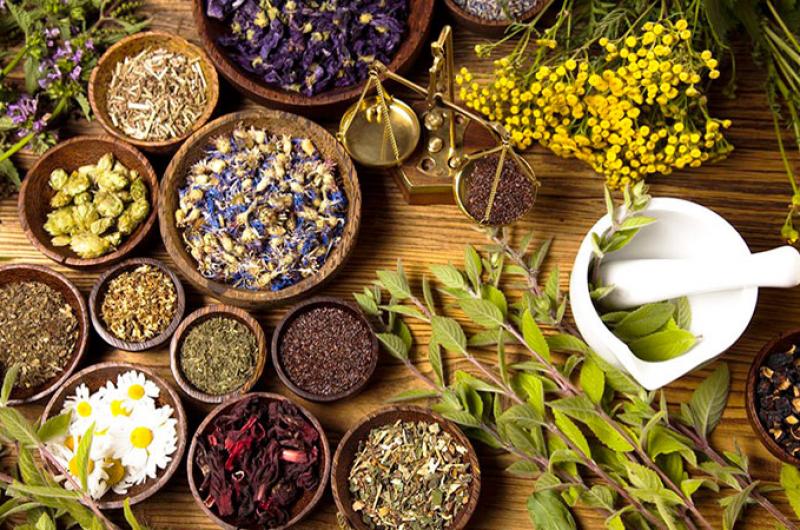 THE HEALING POWER OF HERBS (PHYTOTHERAPY) Natural Synergy