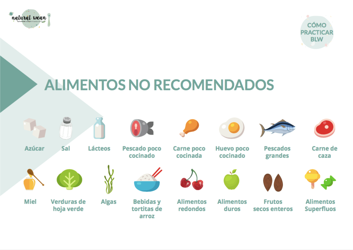 Cada Cuanto Debe Comer Un Bebe De 6 Meses Kumpulan